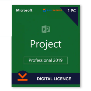 Microsoft Project 2019 Professional